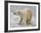 Polar Bear after the Bath-Martin Fowkes-Framed Giclee Print