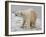 Polar Bear after the Bath-Martin Fowkes-Framed Giclee Print