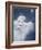 Polar Bear And Cub 2-MAKIKO-Framed Giclee Print