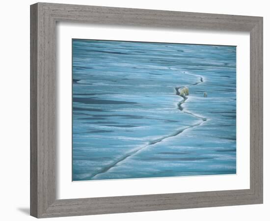 Polar Bear and Cub Cross Crack in Ice, Churchill, Canada-Staffan Widstrand-Framed Photographic Print