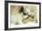 Polar Bear and Cub-null-Framed Photographic Print