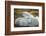 Polar Bear and Cubs by Hudson Bay, Manitoba, Canada-Paul Souders-Framed Photographic Print