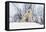 Polar Bear and Cubs X Two Sitting-null-Framed Premier Image Canvas