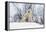 Polar Bear and Cubs X Two Sitting-null-Framed Premier Image Canvas