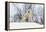 Polar Bear and Cubs X Two Sitting-null-Framed Premier Image Canvas