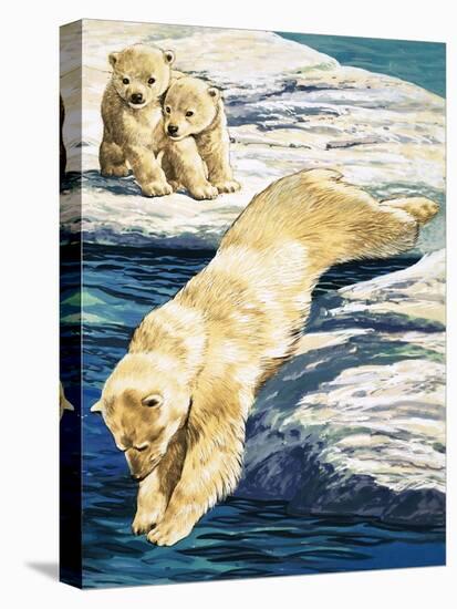 Stretched Canvas Print, , large