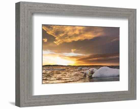 Polar Bear and Young Cub Cling to Melting Sea Ice at Sunset Near Harbor Islands,Canada-Paul Souders-Framed Photographic Print