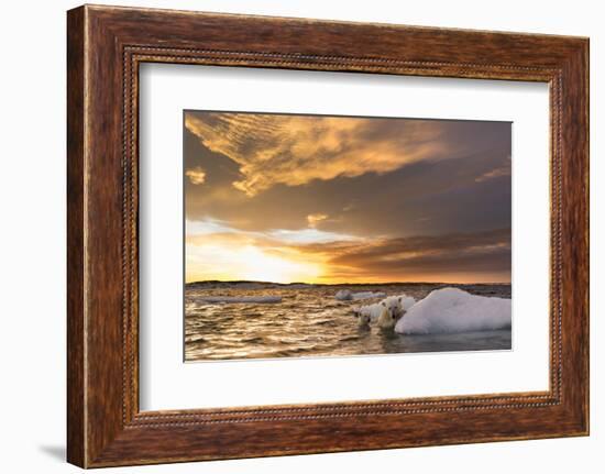 Polar Bear and Young Cub Cling to Melting Sea Ice at Sunset Near Harbor Islands,Canada-Paul Souders-Framed Photographic Print