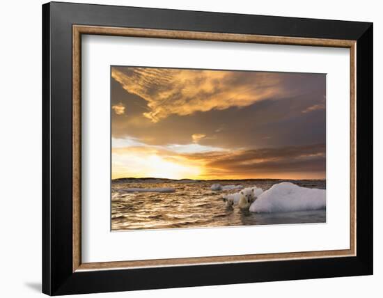 Polar Bear and Young Cub Cling to Melting Sea Ice at Sunset Near Harbor Islands,Canada-Paul Souders-Framed Photographic Print