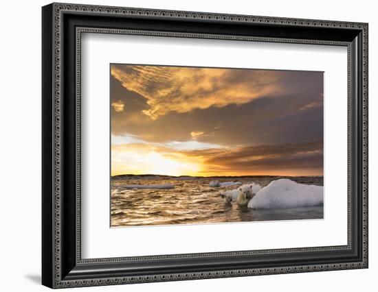 Polar Bear and Young Cub Cling to Melting Sea Ice at Sunset Near Harbor Islands,Canada-Paul Souders-Framed Photographic Print