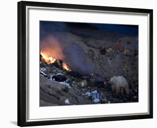 Polar Bear at the Dump, Ursus Maritimus, Churchill, Manitoba, Canada-Thorsten Milse-Framed Photographic Print