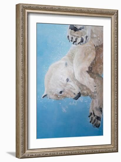 Polar bear ballet, detail, 2012-Odile Kidd-Framed Giclee Print