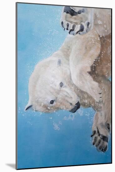Polar bear ballet, detail, 2012-Odile Kidd-Mounted Giclee Print
