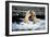 Polar Bear Brawl II-Howard Ruby-Framed Photographic Print