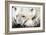 Polar Bear, Canada I-Art Wolfe-Framed Giclee Print