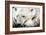 Polar Bear, Canada I-Art Wolfe-Framed Giclee Print