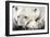 Polar Bear, Canada I-Art Wolfe-Framed Giclee Print