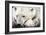 Polar Bear, Canada I-Art Wolfe-Framed Giclee Print