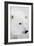Polar Bear, Churchill, Mb Canada-Richard ans Susan Day-Framed Premium Photographic Print