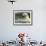 Polar Bear Cub Plays with His Mother in their Pool During Hot Weather at the Zoo in Stuttgart-null-Framed Photographic Print displayed on a wall