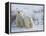 Polar Bear Cubs (Ursus Maritimus), Churchill, Hudson Bay, Manitoba, Canada-Thorsten Milse-Framed Premier Image Canvas