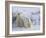 Polar Bear Cubs (Ursus Maritimus), Churchill, Hudson Bay, Manitoba, Canada-Thorsten Milse-Framed Photographic Print