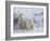 Polar Bear Cubs (Ursus Maritimus), Churchill, Hudson Bay, Manitoba, Canada-Thorsten Milse-Framed Photographic Print