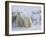 Polar Bear Cubs (Ursus Maritimus), Churchill, Hudson Bay, Manitoba, Canada-Thorsten Milse-Framed Photographic Print