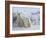 Polar Bear Cubs (Ursus Maritimus), Churchill, Hudson Bay, Manitoba, Canada-Thorsten Milse-Framed Photographic Print