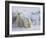 Polar Bear Cubs (Ursus Maritimus), Churchill, Hudson Bay, Manitoba, Canada-Thorsten Milse-Framed Photographic Print