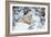 Polar Bear Huddled in Snow, with Two Cubs-null-Framed Premium Photographic Print