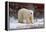 Polar Bear in the Brush-Howard Ruby-Framed Premier Image Canvas