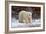 Polar Bear in the Brush-Howard Ruby-Framed Photographic Print