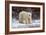 Polar Bear in the Brush-Howard Ruby-Framed Photographic Print