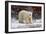 Polar Bear in the Brush-Howard Ruby-Framed Photographic Print
