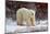 Polar Bear in the Brush-Howard Ruby-Mounted Photographic Print