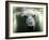 Polar Bear is Pictured under Water at the Zoo in Gelsenkirchen-null-Framed Photographic Print