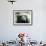 Polar Bear is Pictured under Water at the Zoo in Gelsenkirchen-null-Framed Photographic Print displayed on a wall