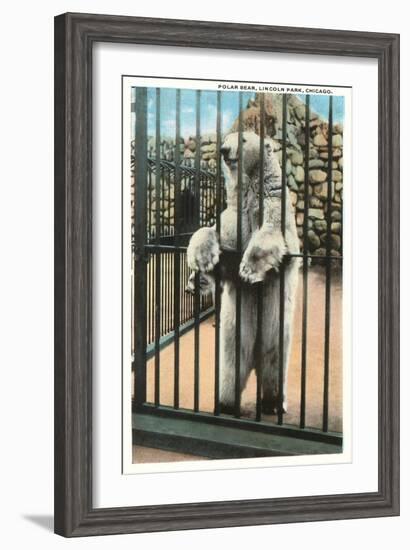 Polar Bear, Lincoln Park Zoo, Chicago, Illinois-null-Framed Art Print