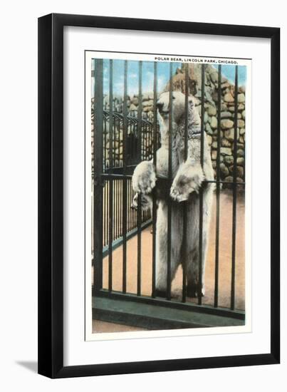 Polar Bear, Lincoln Park Zoo, Chicago, Illinois-null-Framed Art Print