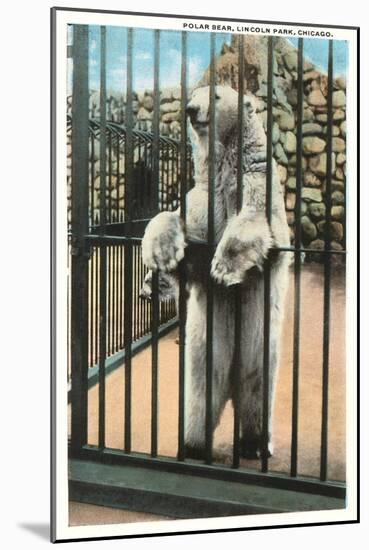 Polar Bear, Lincoln Park Zoo, Chicago, Illinois-null-Mounted Art Print