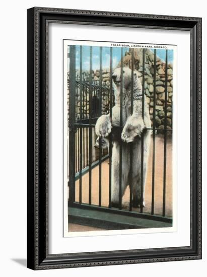 Polar Bear, Lincoln Park Zoo, Chicago, Illinois-null-Framed Art Print