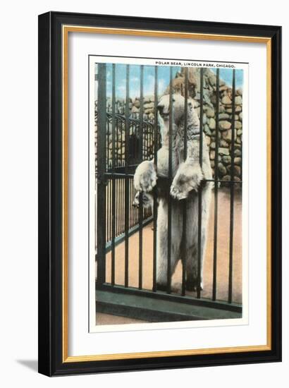 Polar Bear, Lincoln Park Zoo, Chicago, Illinois-null-Framed Art Print