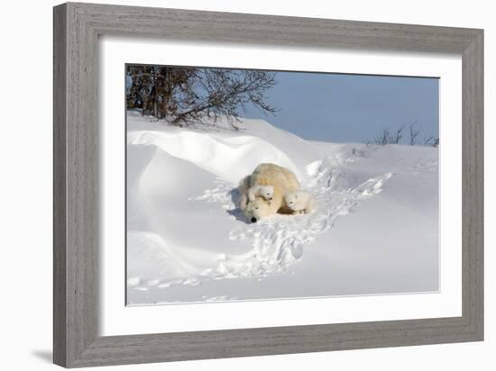 Polar Bear Love-Howard Ruby-Framed Photographic Print