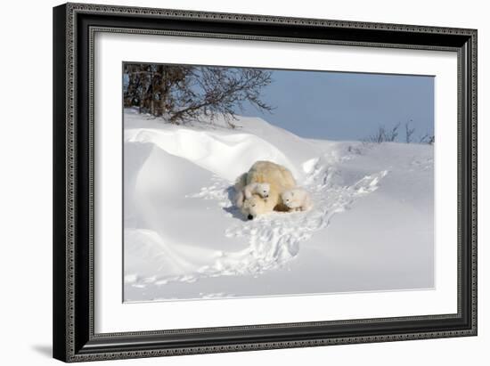 Polar Bear Love-Howard Ruby-Framed Photographic Print