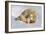 Polar Bear Mom an Cub-Howard Ruby-Framed Photographic Print