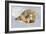 Polar Bear Mom an Cub-Howard Ruby-Framed Photographic Print