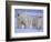 Polar Bear Mother and Cub in Churchill, Manitoba, Canada-Theo Allofs-Framed Photographic Print