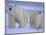 Polar Bear Mother and Cub in Churchill, Manitoba, Canada-Theo Allofs-Mounted Photographic Print