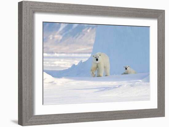 Polar Bear Mother And Cub-Louise Murray-Framed Photographic Print